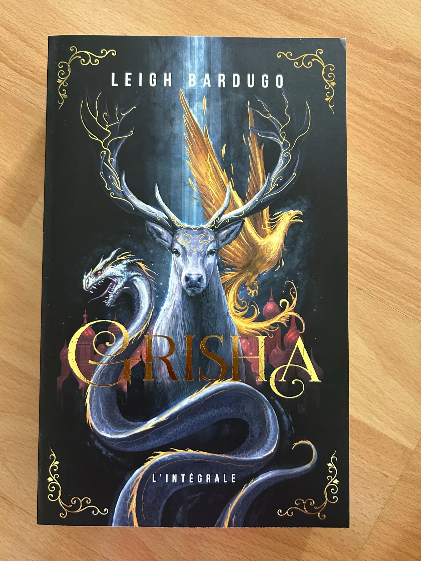 Livre : Grisha